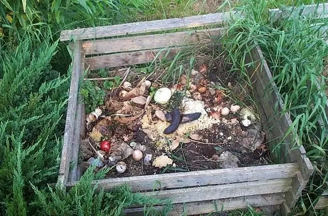 Merele pot fi aruncate într-o groapă de compost