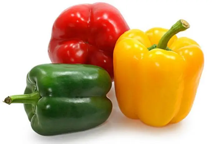 Bell pepper