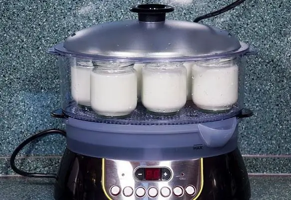 Memasak Yogurt dalam Pembuat Yogurt - Petua Berguna